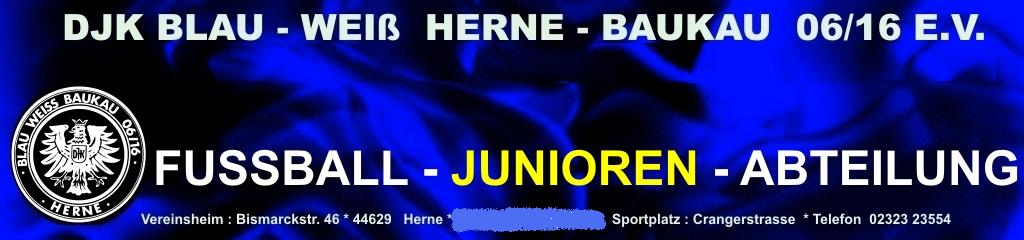 blue_Kopf_Internet_FB_FB_Jug_jpeg